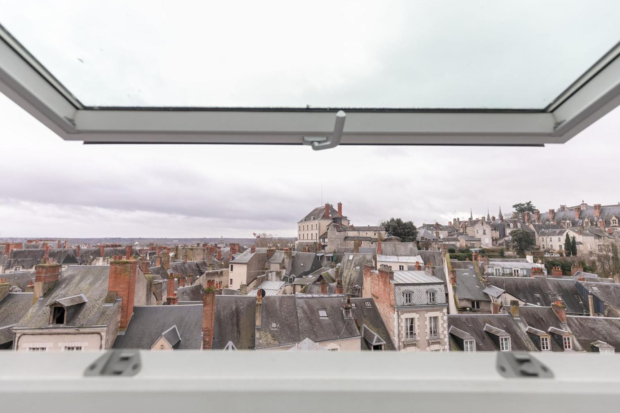 Le Nid De Saint Honore - Sur Les Toits De Blois Eksteriør billede
